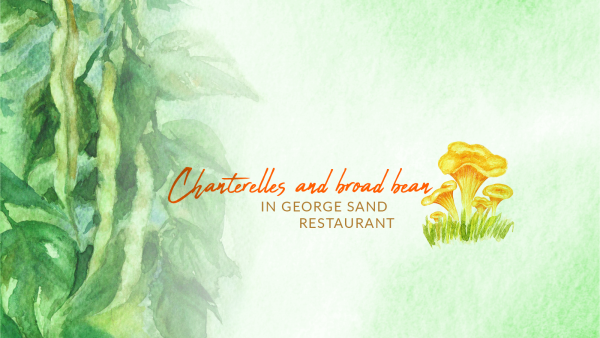 New summer insert in George Sand!