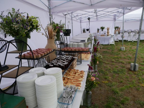 Zielona konferencja – jak zorganizować event przyjazny środowisku?