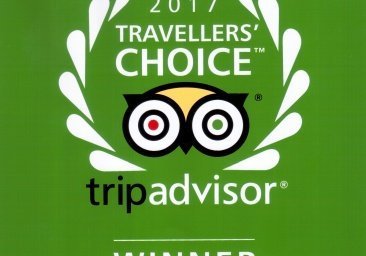 Travellers' Choice Award
