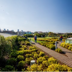 Warszawa w harmonii z naturą