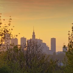 Warszawa śladami lokalsa