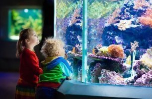 Marine Aquarium in Gdynia