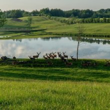 Jak wypadają dni wolne w 2026 roku? 