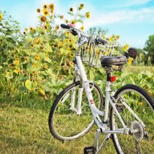 Gołdap – trasy rowerowe dla każdego