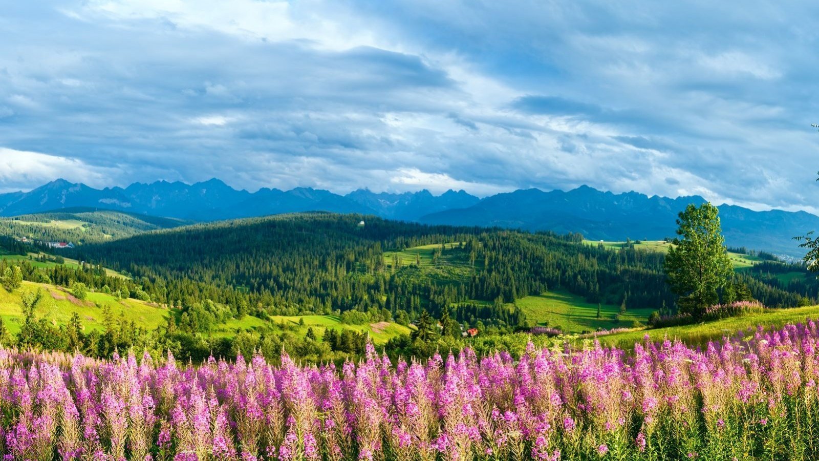 tymczasowy/tatry1.jpg