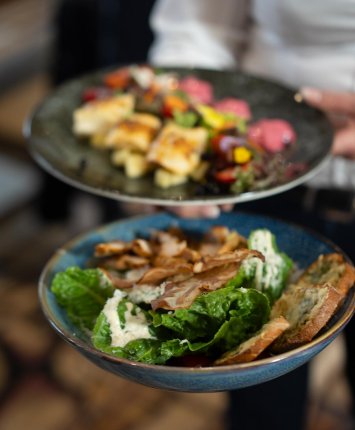 PROFESSIONAL SERVICE