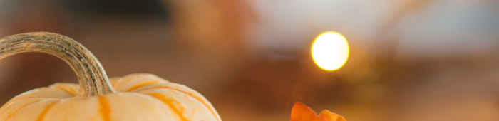 CHEF RECOMMENDS GOOSE & PUMPKIN