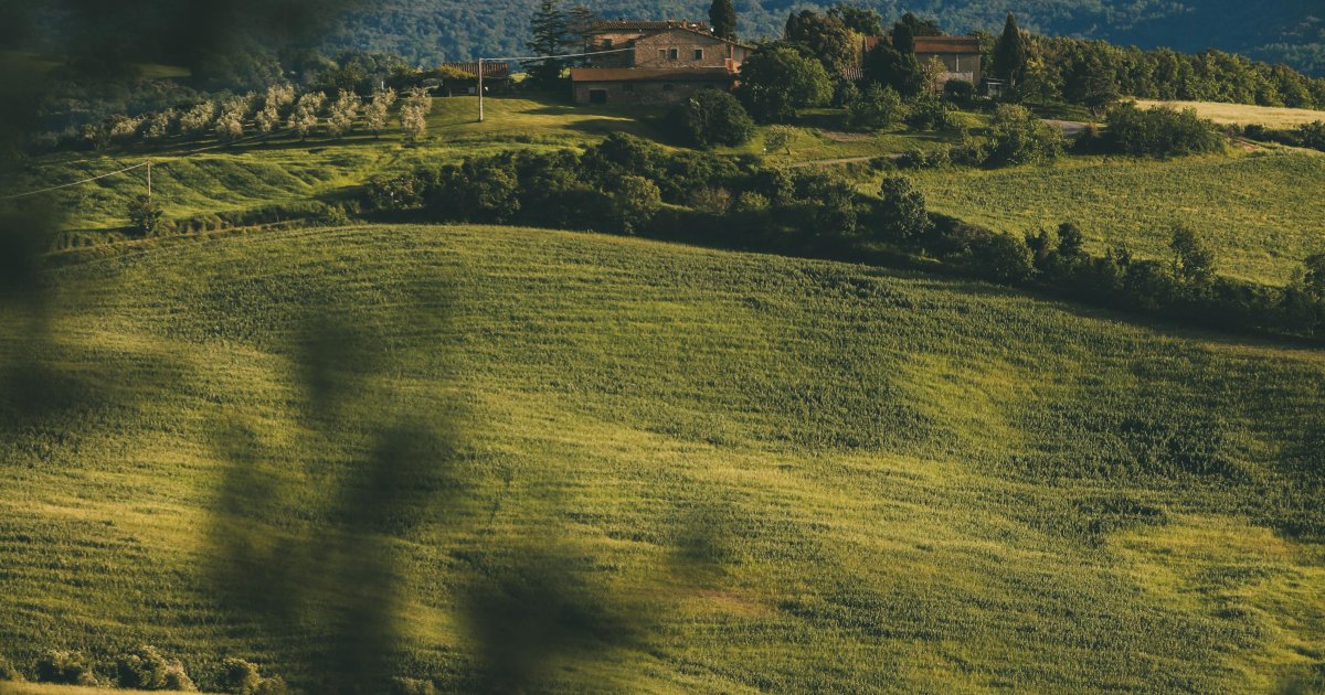Biały Kamień Hotel & Medi-SPA