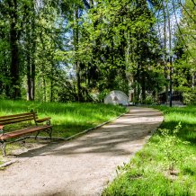 Najlepsze atrakcje dla dzieci w pobliżu Polanicy-Zdroju