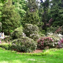 Arboretum w Wojsławicach