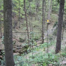 Leśny Park Przygody Skalisko