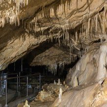 Jaskinia Niedźwiedzia