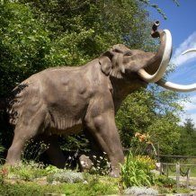 Muzeum Ziemi - Geologiczne