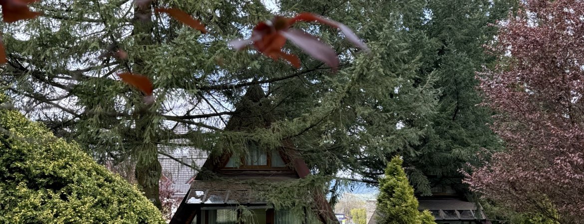 Hotel**** & Spa Czarny Groń 