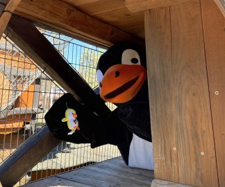 Wielkanocne poszukiwanie Pingwink&oacute;w