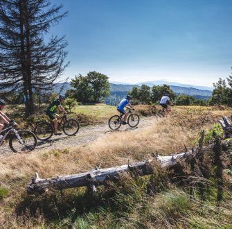 Wypożyczalnia rowerów