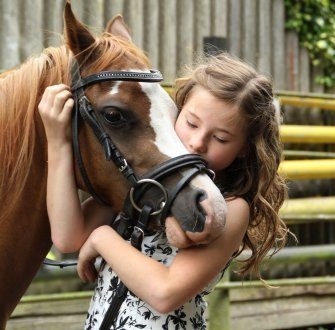 Minizoo kucyk dla dzieciaków