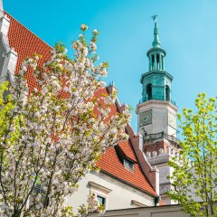 Poznań wiosną i na maj&oacute;wkę &ndash; atrakcje, Wielkanoc i nocleg w centrum
