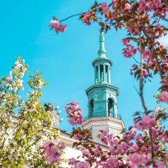 Poznań &ndash; co zobaczyć? Przewodnik po atrakcjach Starego Miasta i okolic