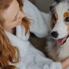 Czy warto zabrać psa na pobyt w Poznaniu? Poznaj ofertę przyjazną czworonogom!