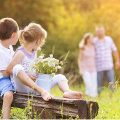 Co warto zobaczyć latem w Poznaniu i dlaczego warto zatrzymać się w Aparthouse Woźna 11?