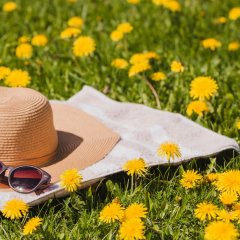 Wiosenny Targ Ogrodniczy 2022