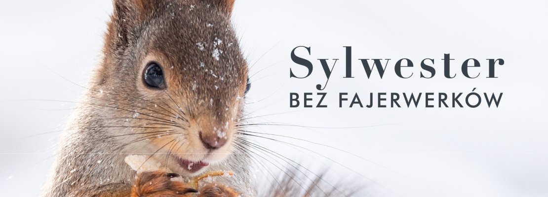 Zamiast kupowania fajerwerków Hotele SPA wsparły organizacje zajmujące się ochroną zwierząt