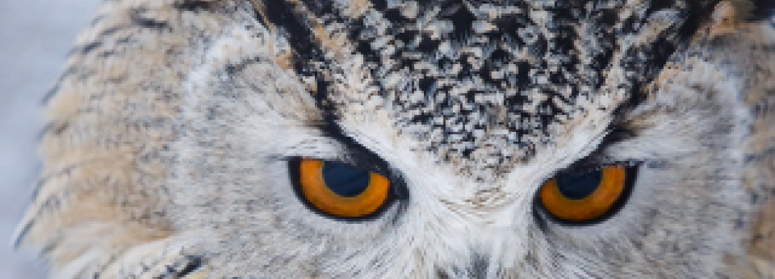 Sylwester bez fajerwerków w Hotelach SPA Dr Irena Eris