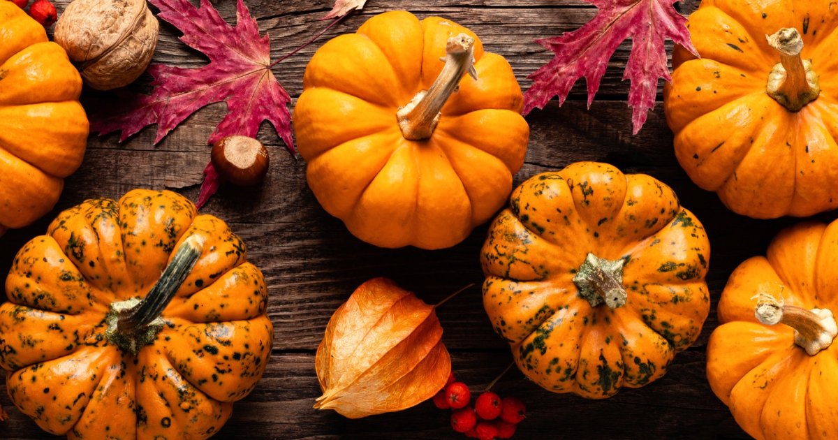 Pumpkin Weekend