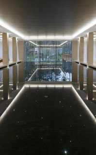 Pool overlooking <br> the forest