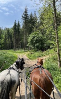 Przejażdżka bryczką (całoroczna) 