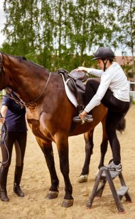 Maneż – Koń/Kucyk 