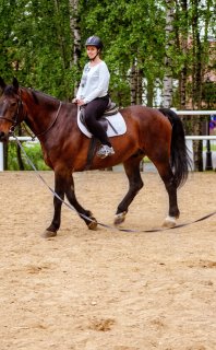 Lonża – Koń/Kucyk 