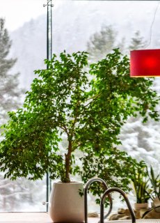 Hotel dla dorosłych - moda czy potrzeba?