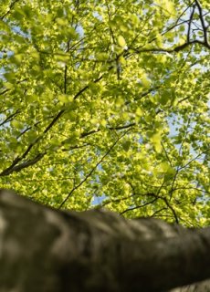 Ekohotel - nowa zakładka na stronie internetowej poświęcona ekologii