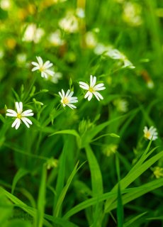 Wiosenne pobyty z Bonem Turystycznym