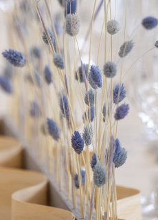 Relacja z beskidzkiego weekendu z Dr Irena Eris Tasty Stories