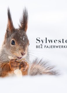 Zamiast kupowania fajerwerków Hotele SPA wsparły organizacje zajmujące się ochroną zwierząt