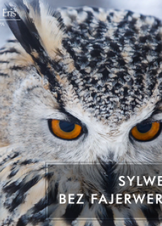 Sylwester bez fajerwerków w Hotelach SPA Dr Irena Eris