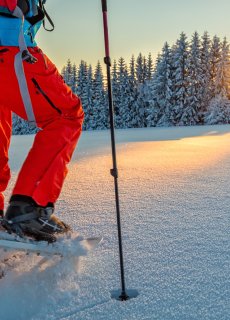 Narty biegowe oraz rakiety śnieżne bezpłatnie w okresie ferii