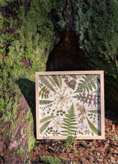 Pachnący prasowany las – kreatywne warsztaty relaksacyjne i aromaterapia