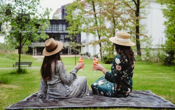 Zapoznaj się z planem animacji