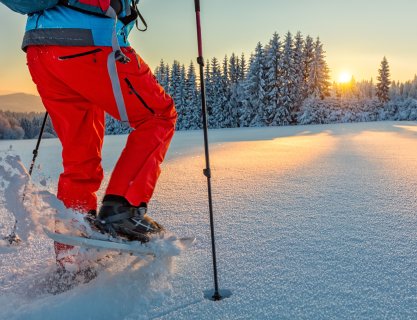 Narty biegowe oraz rakiety śnieżne bezpłatnie w okresie ferii