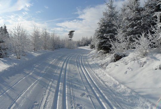 Jamrozowa Polana