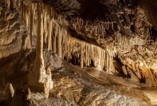 Bärenhöhle