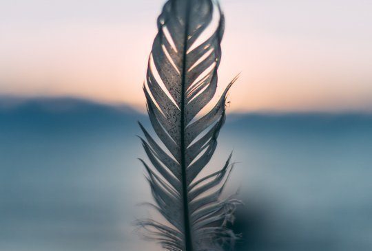 Bocianówka – źródełko płodności