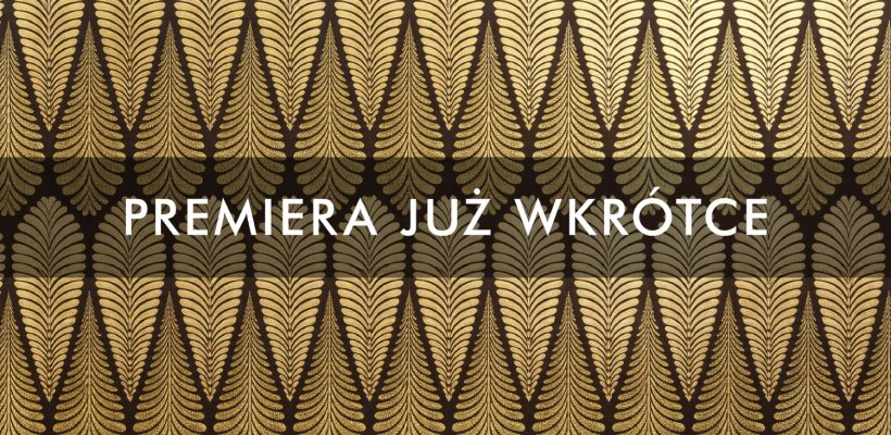 Nowe przestrzenie w Hotelu Dr Irena Eris – pokoje z widokiem na park