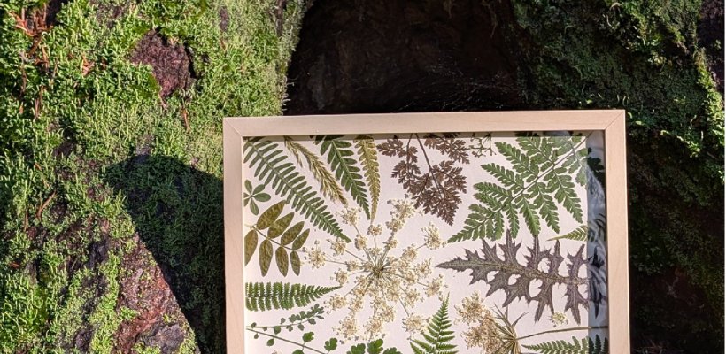 Pachnący prasowany las – kreatywne warsztaty relaksacyjne i aromaterapia