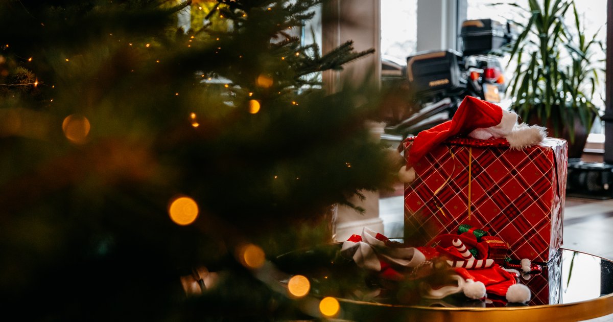 Hotel Senator ★★★★