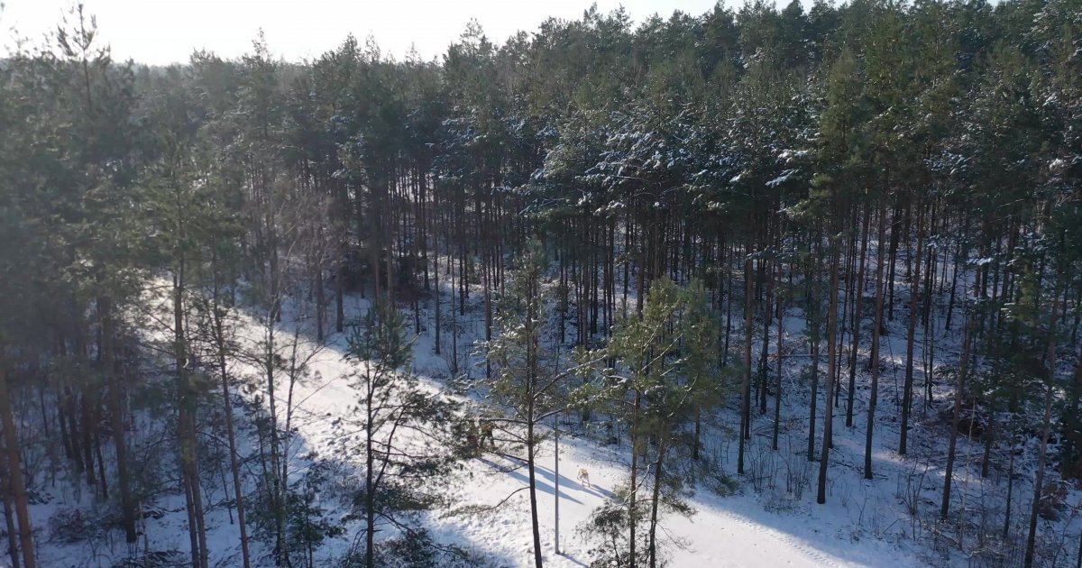 Hotel BoniFaCio SPA & Sport Resort